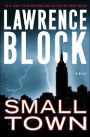 Seller image for Small Town: A Novel for sale by Monroe Street Books
