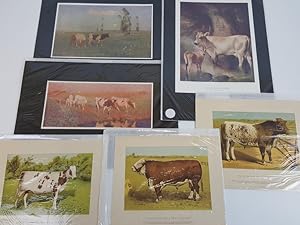 Collection of 6 Antique Colour Prints Relating to Cattle