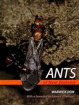 Bild des Verkufers fr Ants of New Zealand (Hardcover) zum Verkauf von Grand Eagle Retail