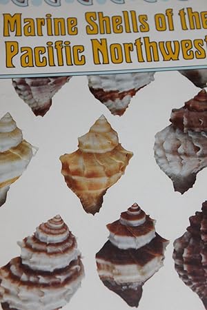 Marine Shells of the Pacific Northwest