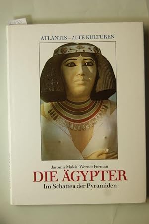 Die Ägypter. Im Schatten der Pyramide