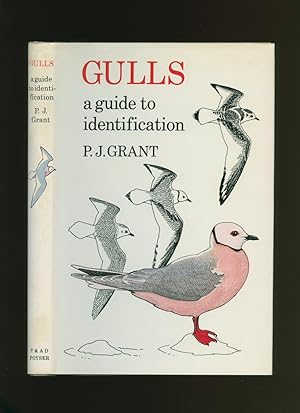 Image du vendeur pour Gulls; A Guide to Identification mis en vente par Little Stour Books PBFA Member