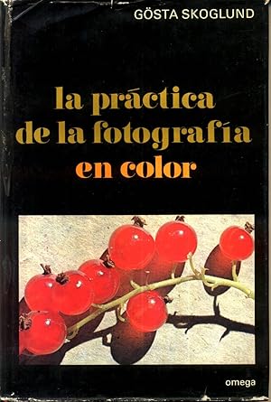 Seller image for La Practica de la Fotografia en Color for sale by Livro Ibero Americano Ltda