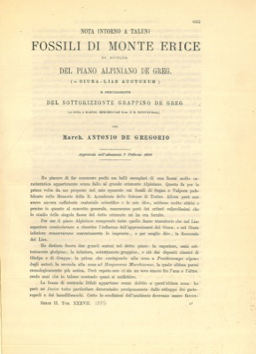 Nota intorno a taluni fossili di Monte Erice di Sicilia del piano Alpiniano De Greg. (= Giura-Lia...