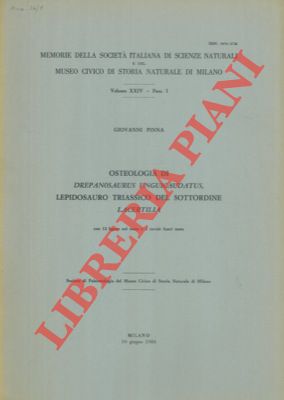 Osteologia di Drepanosaurus unguicaudatus, Lepidosauro Triassico del sottordine Lacertilia.