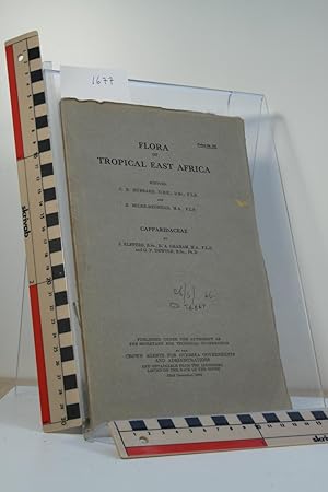 Bild des Verkufers fr Capparidaceae. Flora of Tropical East Africa. zum Verkauf von Thulin&Ohlson AntiqBookseller Since 1918
