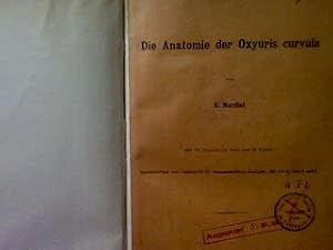 Die Anatomie der Oxyuris curvula.