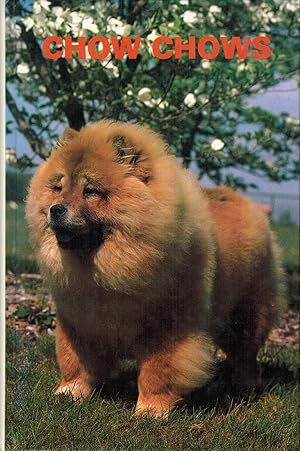 Chow Chows