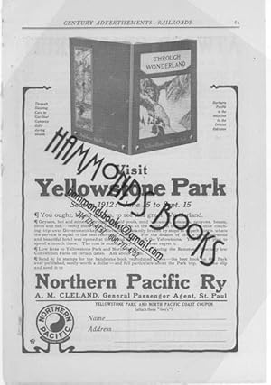 Immagine del venditore per Advertisement for Northern Pacific Railway - "Visit Yellowstone Park" venduto da Hammonds Antiques & Books