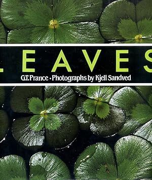 Seller image for Leaves : The Formation, Characteristics and Uses of Hundreds of Leaves Found in All Parts of the World for sale by Pendleburys - the bookshop in the hills