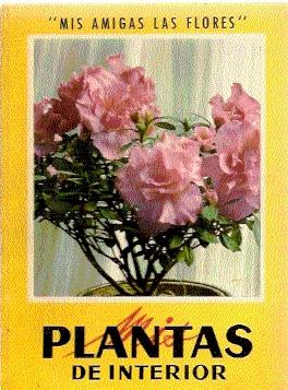 MIS PLANTAS DE INTERIOR ( MIS AMIGAS LAS FLORES )