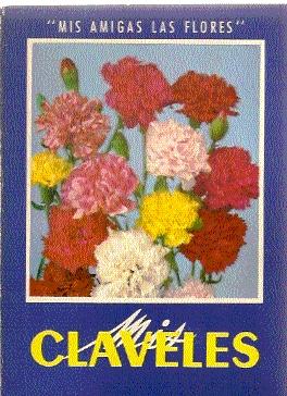 MIS CLAVELES ( MIS AMIGAS LAS FLORES )