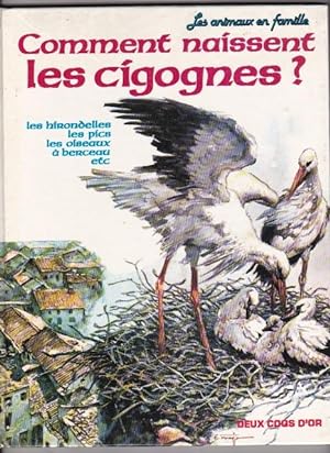 Comment Naissent Les Cigognes ? Les Hirondelles , Les Pics , Les Oiseaux à Berceau , Etc .