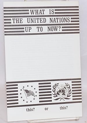 What is the United Nations up to now