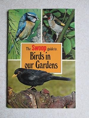 The Swoop Guide To Birds In Our Gardens