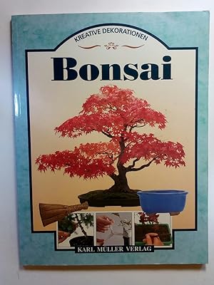 Bonsai - kreative Dekorationen