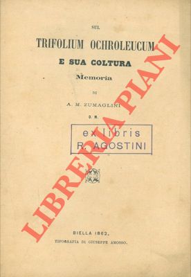 Bild des Verkufers fr Sul Trifolium ochroleucum e sua coltura. zum Verkauf von Libreria Piani