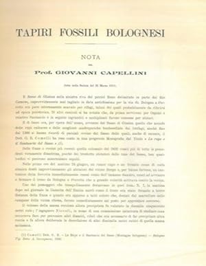Bild des Verkufers fr Tapiri fossili bolognesi. zum Verkauf von Libreria Piani