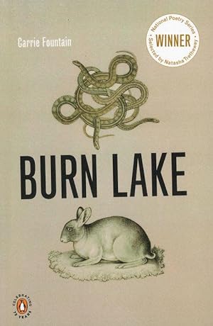 Image du vendeur pour Burn Lake mis en vente par Good Books In The Woods