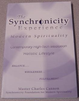 Bild des Verkufers fr The Synchronicity Experience: Modern Spirituality zum Verkauf von Books of Paradise