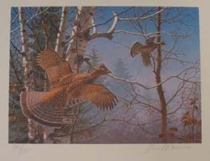 Ruffed Grouse- Limited Edition Conservation Print, Stamp and Portfolio; Signed David Maass