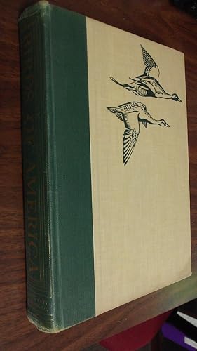 Seller image for Birds of America for sale by dC&A Books