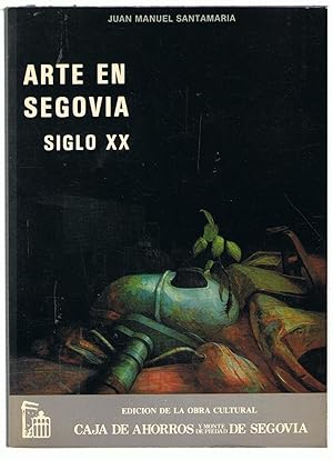 Seller image for ARTE EN SEGOVIA SIGLO XX. for sale by Librera Torren de Rueda