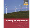 Seller image for INTERNATIONAL EDITION---Survey of Economics : Principles, Applications and Tools, 5th edition for sale by READINGON LLC