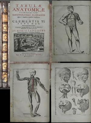 Tabulae Anatomicae clarissimi Vvri Batholomaei Eustachii. . Praefatione notisque illustravit, ac ...