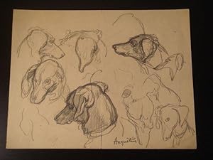 Etude de têtes de chiens. - Crayon sur papier