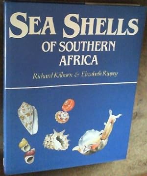 Seller image for Sea Shells of Southern Africa for sale by Chapter 1