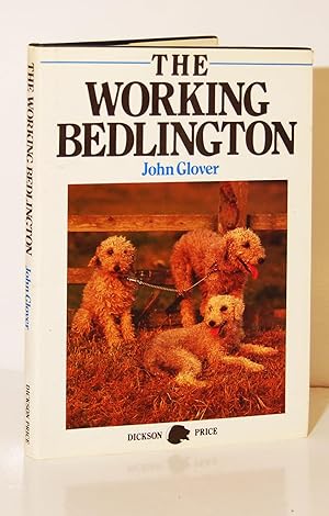 The Working Bedlington.