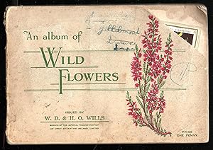 An Album of Wild Flowers