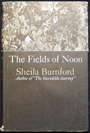 The Fields of Noon