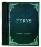 Ferns: A Manual for the Northeastern States