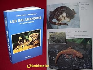Les Salamandres de l'ancien monde.