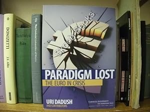 Bild des Verkufers fr Paradigm Lost: The Euro in Crisis zum Verkauf von PsychoBabel & Skoob Books