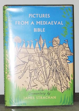 Imagen del vendedor de Pictures from a Mediaeval Bible a la venta por Exquisite Corpse Booksellers