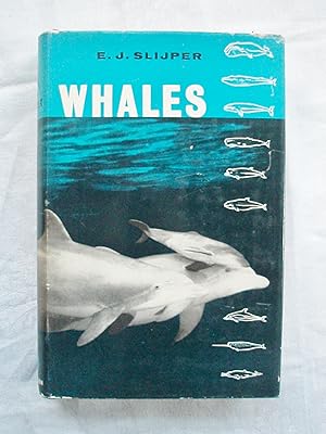 Whales.