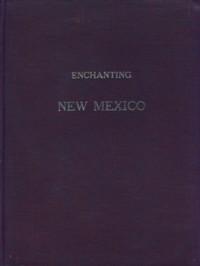 Bild des Verkufers fr Enchanting New Mexico zum Verkauf von The Book Faerie