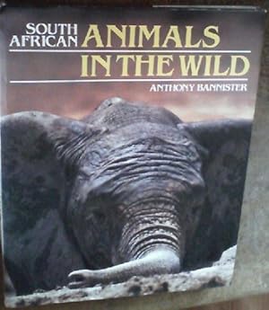 Bild des Verkufers fr South African Animals In The Wild zum Verkauf von Chapter 1