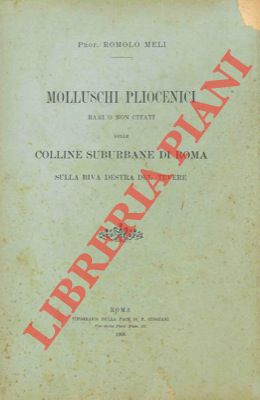 Molluschi pliocenici rari o non citati delle colline suburbane di Roma sulla riva destra del Tevere.