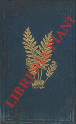 Bild des Verkufers fr The ferns of Great Britain. - The fern allies: a supplement to the ferns of Great Britain. zum Verkauf von Libreria Piani