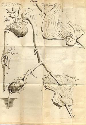 Imagen del vendedor de Anweisung wie die uerlichen Pulsadergeschwlste auf eine geschickte Weise von den Wundrzten zu curieren sind; nebst einigen Kupfern von Carl Guattani. a la venta por Antiq. F.-D. Shn - Medicusbooks.Com