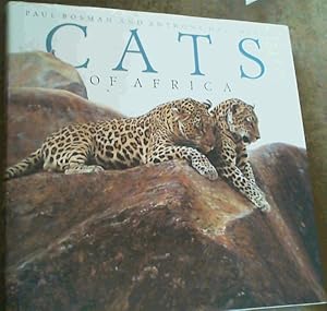 Image du vendeur pour Cats of Africa mis en vente par Chapter 1