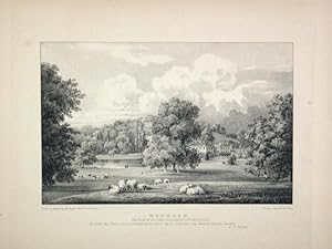 A Fine Original Antique Lithograph By G. F. Prosser Illustrating Wonersh in Surrey, the Seat of R...