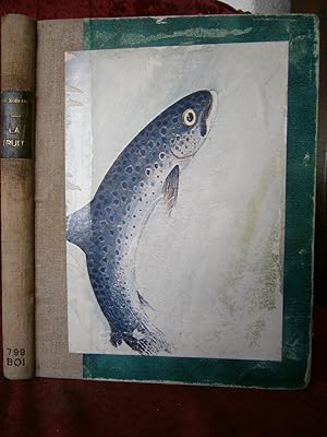 Immagine del venditore per LA TRUITE , POISSON DE GRAND SPORT venduto da LA FRANCE GALANTE