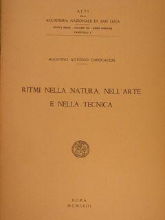 Atti dell Accademia Nazionale di San Luca. RITMI NELLA NATURA, NELL ARTE E NELLA TECNICA.