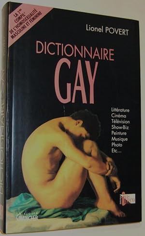 Seller image for Dictionnaire gay for sale by Domifasol