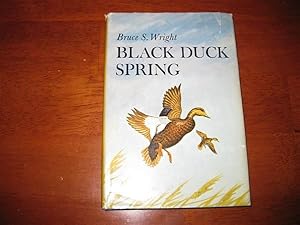 Seller image for Black Duck Spring for sale by By The Lake Books